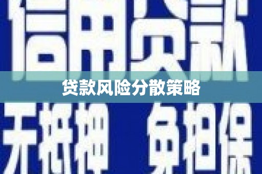 新洲贷款风险分散策略