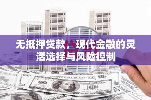 新洲无抵押贷款，现代金融的灵活选择与风险控制