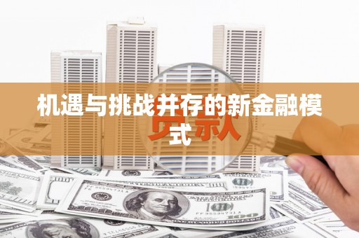 新洲机遇与挑战并存的新金融模式