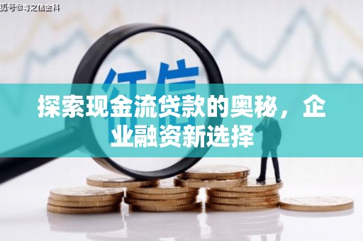 新洲探索现金流贷款的奥秘，企业融资新选择