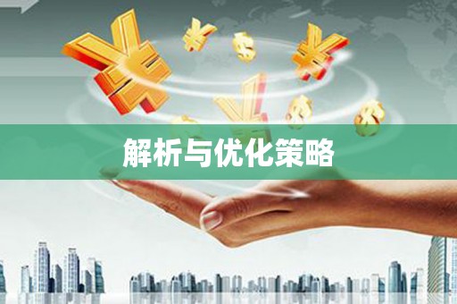 新洲解析与优化策略