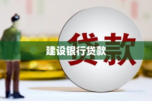 新洲建设银行贷款