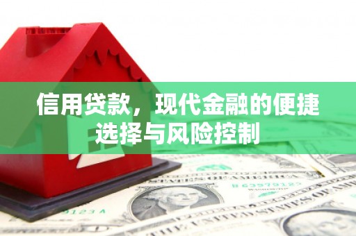 新洲信用贷款，现代金融的便捷选择与风险控制