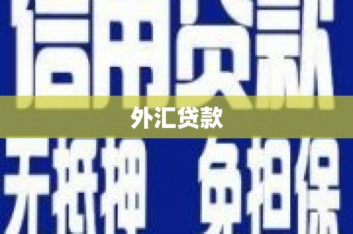 新洲外汇贷款