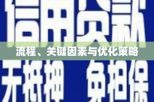 新洲流程、关键因素与优化策略