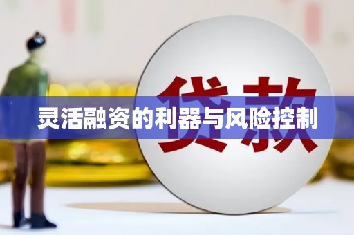新洲灵活融资的利器与风险控制