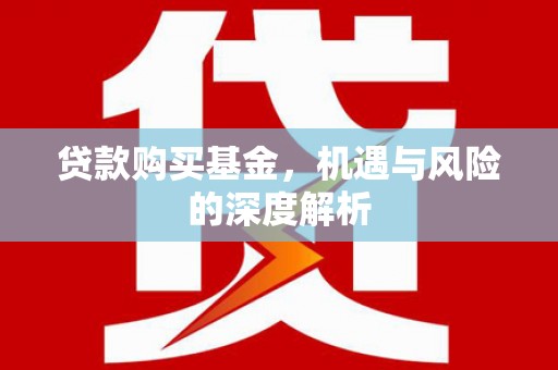 新洲贷款购买基金，机遇与风险的深度解析