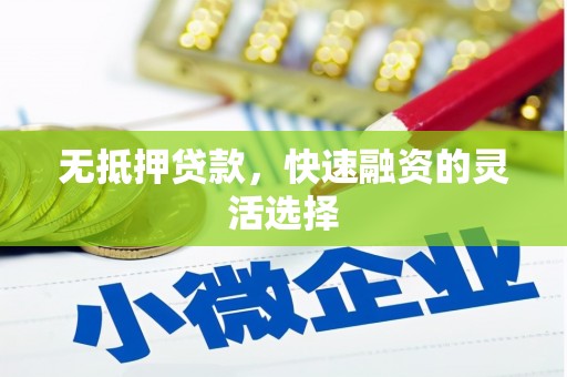 新洲无抵押贷款，快速融资的灵活选择