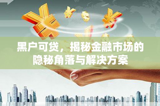 新洲黑户可贷，揭秘金融市场的隐秘角落与解决方案