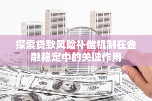 新洲探索贷款风险补偿机制在金融稳定中的关键作用