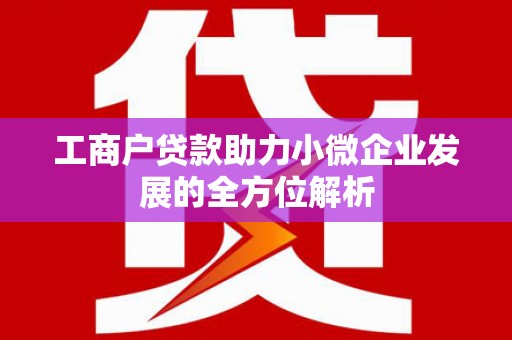 新洲工商户贷款助力小微企业发展的全方位解析