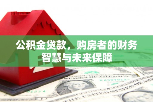 新洲公积金贷款，购房者的财务智慧与未来保障