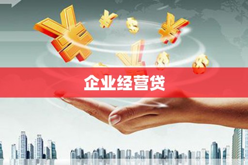 新洲企业经营贷