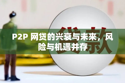 新洲P2P 网贷的兴衰与未来，风险与机遇并存