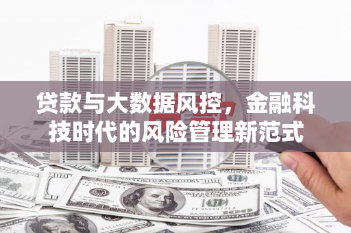 新洲贷款与大数据风控，金融科技时代的风险管理新范式
