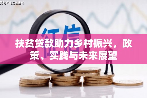 新洲扶贫贷款助力乡村振兴，政策、实践与未来展望