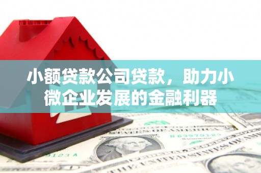 新洲小额贷款公司贷款，助力小微企业发展的金融利器