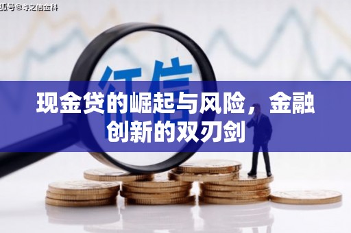 新洲现金贷的崛起与风险，金融创新的双刃剑