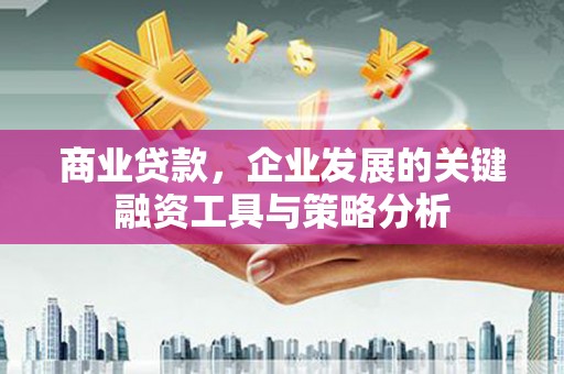 新洲商业贷款，企业发展的关键融资工具与策略分析