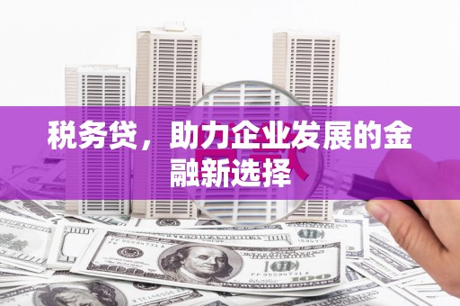新洲税务贷，助力企业发展的金融新选择