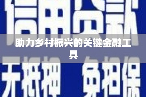 新洲助力乡村振兴的关键金融工具