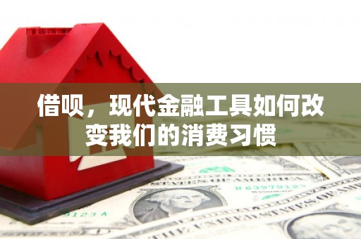 新洲借呗，现代金融工具如何改变我们的消费习惯