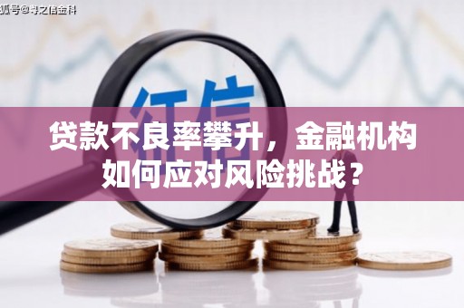 新洲贷款不良率攀升，金融机构如何应对风险挑战？