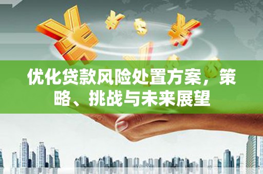 新洲优化贷款风险处置方案，策略、挑战与未来展望