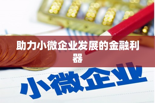 新洲助力小微企业发展的金融利器