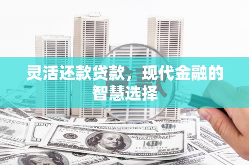 新洲灵活还款贷款，现代金融的智慧选择