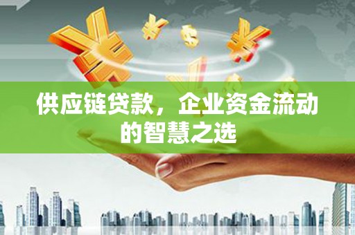 新洲供应链贷款，企业资金流动的智慧之选