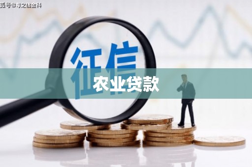 新洲农业贷款