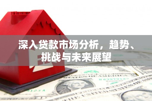 新洲深入贷款市场分析，趋势、挑战与未来展望