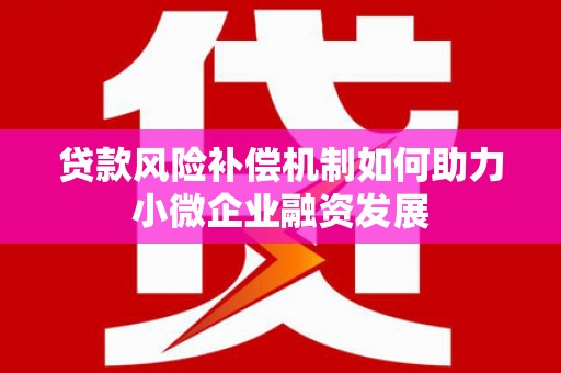 新洲贷款风险补偿机制如何助力小微企业融资发展