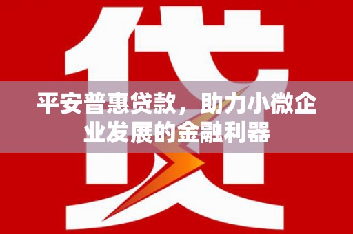 新洲平安普惠贷款，助力小微企业发展的金融利器