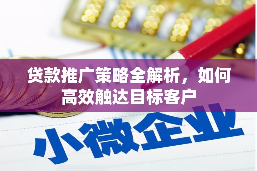 新洲贷款推广策略全解析，如何高效触达目标客户