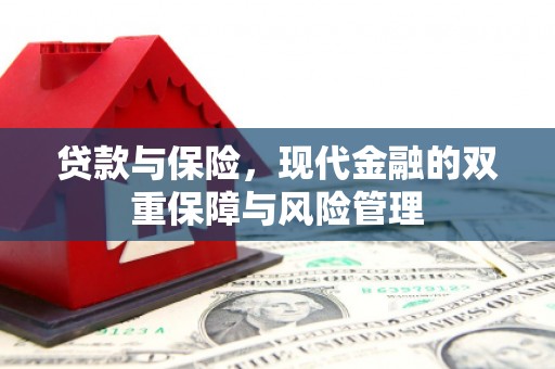 新洲贷款与保险，现代金融的双重保障与风险管理