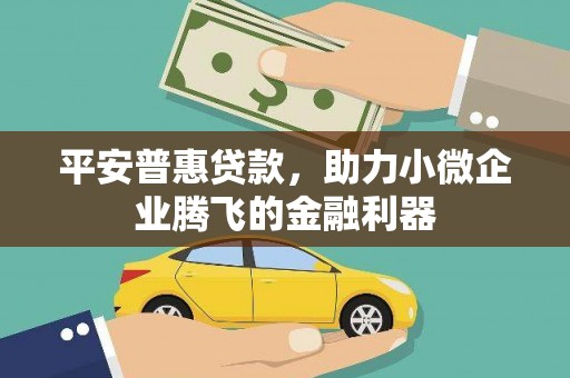 新洲平安普惠贷款，助力小微企业腾飞的金融利器
