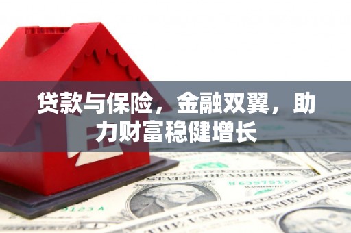 新洲贷款与保险，金融双翼，助力财富稳健增长