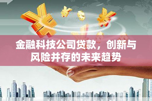 新洲金融科技公司贷款，创新与风险并存的未来趋势