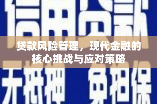 新洲贷款风险管理，现代金融的核心挑战与应对策略