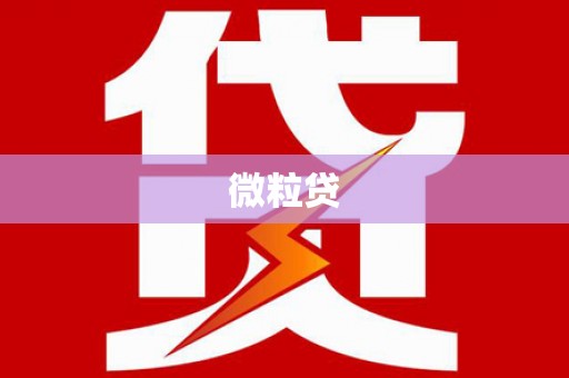 新洲微粒贷