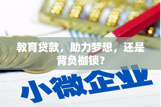 新洲教育贷款，助力梦想，还是背负枷锁？