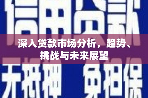 新洲深入贷款市场分析，趋势、挑战与未来展望