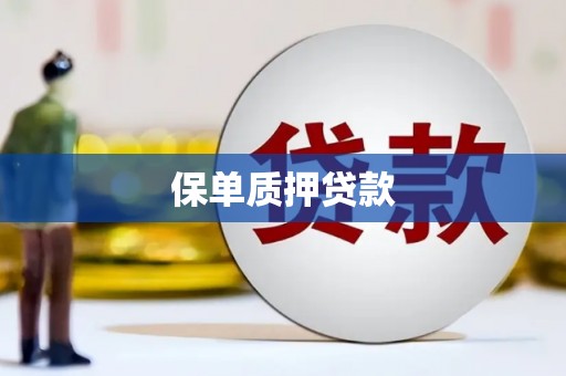 新洲保单质押贷款
