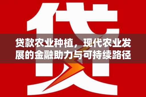 新洲贷款农业种植，现代农业发展的金融助力与可持续路径