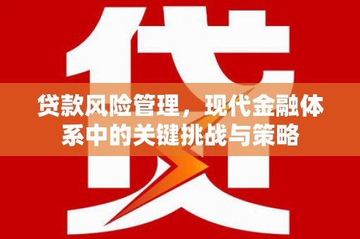 新洲贷款风险管理，现代金融体系中的关键挑战与策略