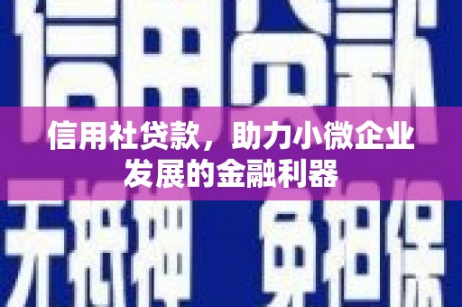 新洲信用社贷款，助力小微企业发展的金融利器