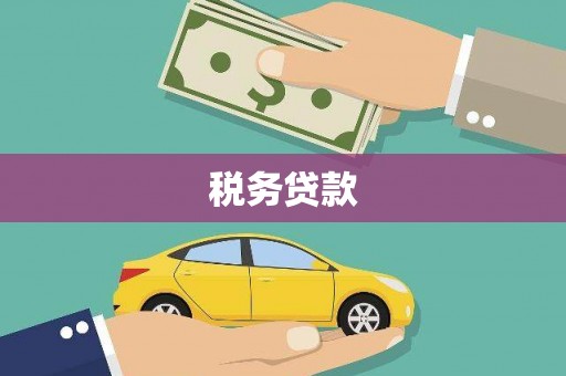 新洲税务贷款