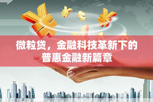 新洲微粒贷，金融科技革新下的普惠金融新篇章